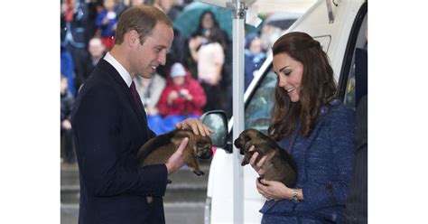 Will And Kate Held Puppies During Their April 2014 Trip To Prince