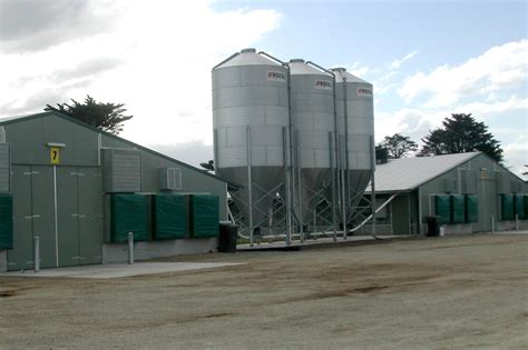 tips  correct poultry feed storage poultry world