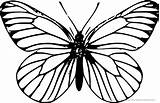 Schmetterling Malvorlagen Malvorlage Schmetterlinge sketch template