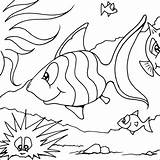 Fish Coloring Exotic Pages Colouring Striped Print Getdrawings Drawing sketch template