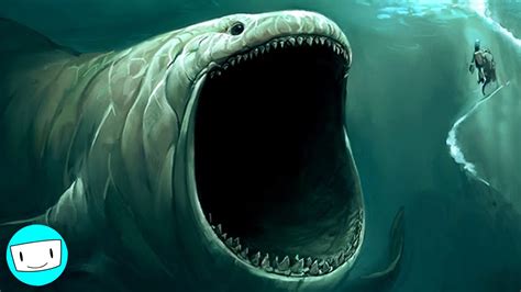 biggest sea monsters  youtube