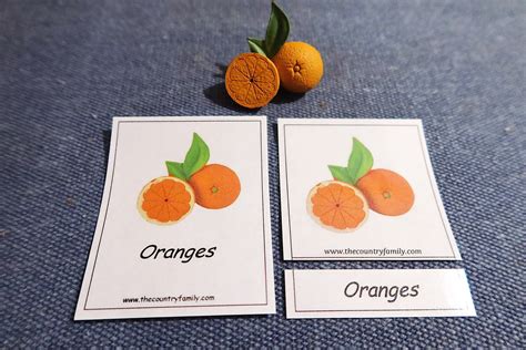 montessori cards printable