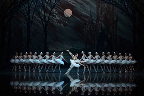 extra swan lake shows  melbourne dance life