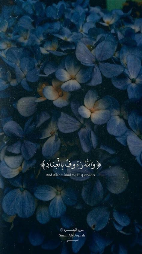Pin Oleh Ahmed Adham Di Holy Quran Islamic Quotes