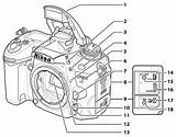 D7000 Nikon Courtesy Illustration Usa Imaging Prods Resource sketch template