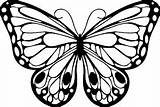 Schmetterling Butterfly Zum Ausschneiden Choose Board Coloring Google sketch template