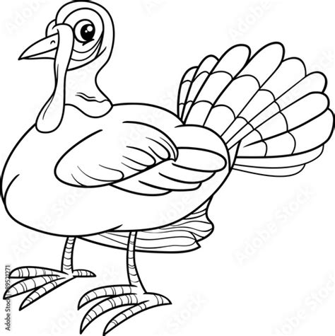 turkey bird coloring book vector de stock adobe stock