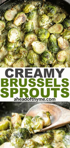 creamy brussels sprouts bake ahead of thyme