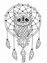 Dreamcatcher Owl Coloring Owls Cute Adult Pages Own Animals sketch template