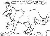 Coyote Coloring Pages Printable Jackal Kids Color Cool2bkids Getcolorings Getdrawings sketch template