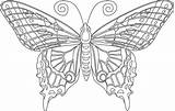 Kolorowanki Motyle Dla Druku Dorosłych Coloringhome Printablee Ausmalbilder Erwachsene Animals Darmo Za Printmania Mariposas sketch template