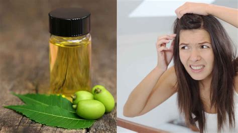 neem oil  lice    rid  hair lice naturally healthshots