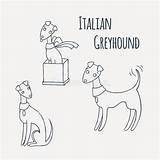 Windhund Greyhound Karikatur Italienischer Illustrationen sketch template