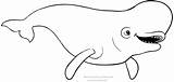 Dory Colorir Beluga Stampare Procurando Finding Imprimir Cartone Buscando Balena Impressão Balene Cartonionline sketch template
