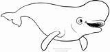 Dory Beluga Procurando Buscando Dorie Findet Stampare Kolorowanki Cartonionline Cartone Balena Monde Coloriages Meglio Balene Impressão Dibujosanimados Gdzie sketch template