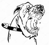Dog Angry Drawing Vector Stock Illustration Depositphotos Getdrawings sketch template