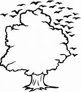 Tree Outlines Outline Clipart Coloring Cliparts Pages sketch template