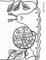 Snail Caracol Schnecke Caracoles Slak Ausdrucken Colorir Malvorlagen Kleurplaten Ausmalbild Animales Slug Escargot Hellokids Desenhos Caracola Acw Automne Animaux Freigeben sketch template