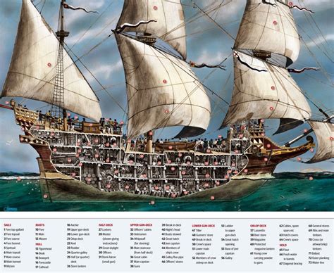 cross section    century galleon  sailing ships