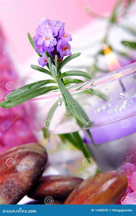 lavender spa stock image image  home leaf luxury