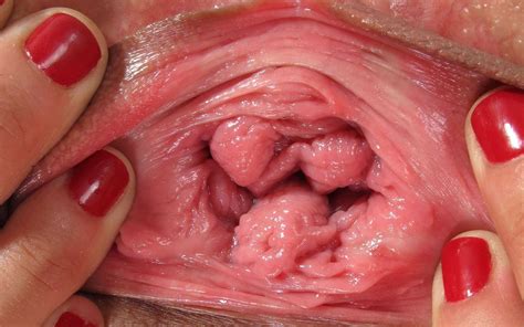 free closeup pictures of long clitoris xxx pics comments 1
