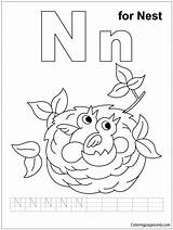 Nest Coloring Pages Preschool Color Print Online sketch template