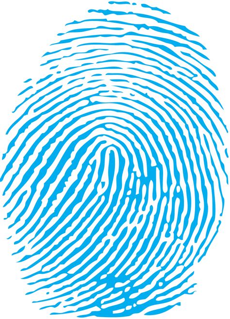 fingerprint vector  clipart