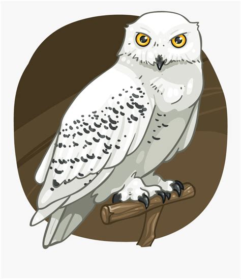 snowy owl  transparent clipart clipartkey