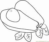 Avocado Coloring Pages Avocados Drawing Colouring Color Popular Getcolorings Picolour Coloringpages101 Pluspng Pa sketch template