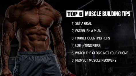 build muscle safely fatintroduction