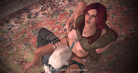 Rule 34 3d Dicsaw Tagme The Witcher The Witcher 2 Triss