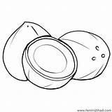Coconut Coloring Printable Pages Getcolorings Color Pag sketch template
