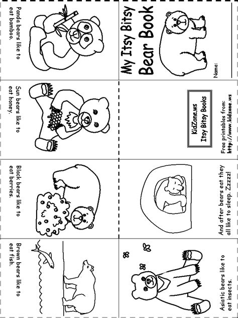 bear worksheets itsy bitsy bear book bear theme preschool bears