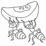 Ants Coloring Pages Orange Collecting Ant Two Kids sketch template