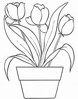 Bunga Mewarnai Tulip Tulipanes Pensil Mudah Tulips Dari Menggambar Pemandangan Indah Sketsa Vas Getcolorings Digambar Bestcoloringpagesforkids Maceta Mosaic Bud Mariposas sketch template