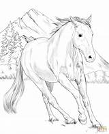 Ausmalbilder Pferde Supercoloring Pferd Kolorowanka Americano Ausmalen Koń Vorlagen Cavalos Malvorlage sketch template