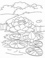 Pond Lotus Coloring Pages Drawing Blooming Kids Fish Printable Outline Flowers Getdrawings ดอก ไม Flower Color Template Easy sketch template
