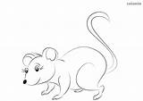 Mäuschen Maus Ausmalbilder Waldtiere Malvorlage sketch template