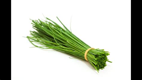 chives  green onions youtube