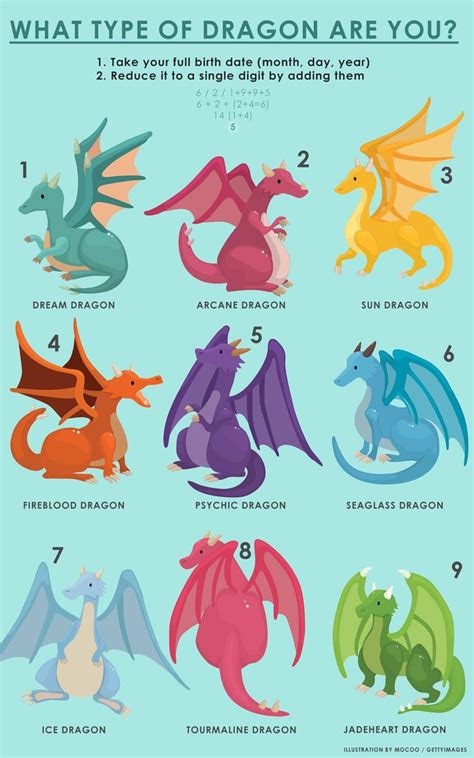 types  dragons mythical creature design dragon art
