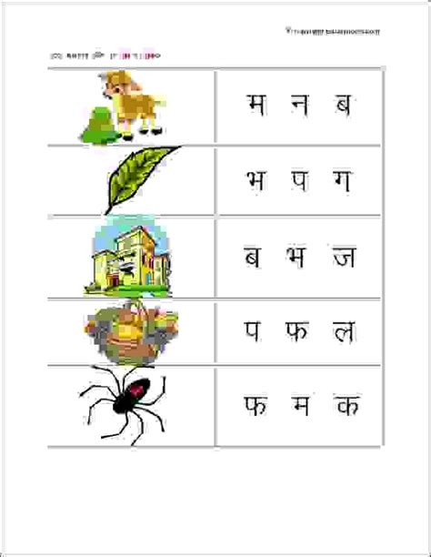 peerless hindi worksheet  kg letter  worksheets  printable