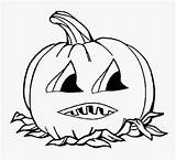 Olds Clipartmag Pumpkin sketch template