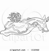 Slug Sea Nudibranch Chromodoris Illustration Clipart Vector Royalty Bannykh Alex Clip 2021 sketch template