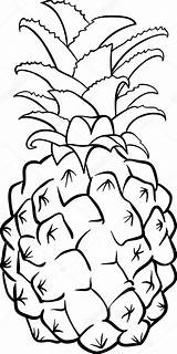 Pineapple Ananas Kolorowanka Book Abacaxi Owoc Coloration Pineapples Vecteur Izakowski Object Wydrukuj Malowankę Clipartmag Ufo Frutto Anans Owoców Jeden Drukowanka sketch template