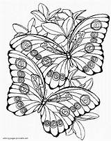 Coloring Pages Butterflies Printable Butterfly Cute Two Kids Print Insect sketch template