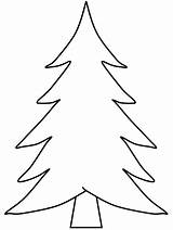Pine Coloring Pages Trees Tree Kids Printable Color Under Christmas Outline sketch template