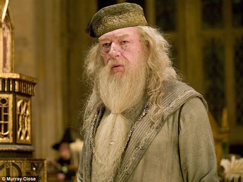 Sir Ian Mckellen Turned Down Dumbledore Role Daily Mail