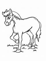 Coloring Pages Horse Horses Para Animated Caballos Imprimir Colouring Drawings Gif Gifs Riding Last Animal sketch template