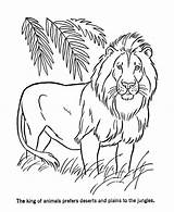 Lion Pages Coloring Female Color Getcolorings sketch template