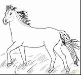 Horse Coloring Pages Mustang Appaloosa Pretty Printable Wild Horses Pony Quarter Herd Cute Color Getcolorings Sheets Print Paint Getdrawings Colorings sketch template